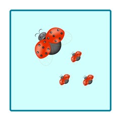 Ladybird family in square card. Illustration ladybug. Cute colorful sign red insect symbol spring, summer, garden. Template for t shirt, apparel, card, poster, etc. Design element Vector illustration.