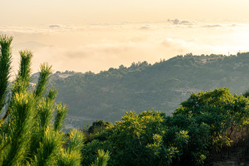 Beautiful colorful sunset over the mountain range and pine tree forest. Nature landscape. fogy sky with some orange reflections.