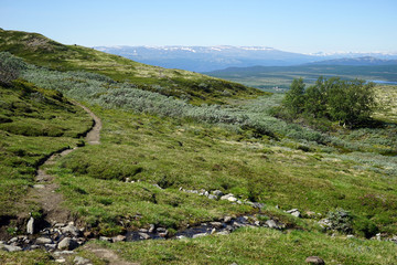 Fototapeta na wymiar Footpath in Dovre national park in Norway