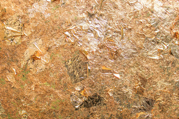 Abstract creative background, Wall with gold plate in the temple, Gold background