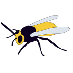 vector, isolated, wasp, bee, on a white background