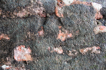 Stone background, A little tree on brick wall, Old brick wall fracture damaged background, Little...