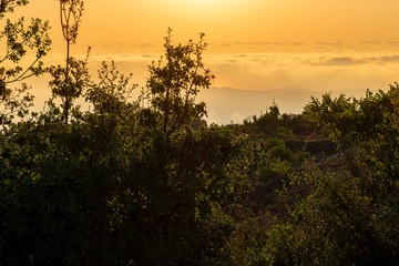 Beautiful colorful sunset over the mountain range and pine tree forest. Nature landscape. fogy sky with some orange reflections.