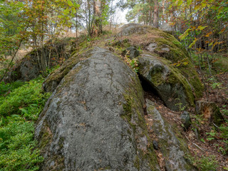 Scandinavian landscape. Trees grow in a rocky environment. Stony trail. Windy cloudy skies.