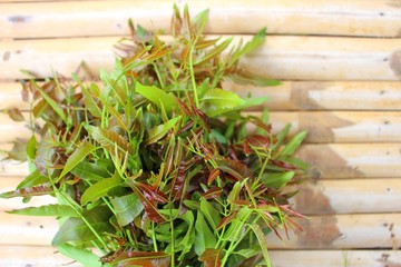 The rest is neem laid on a brown bamboo floor