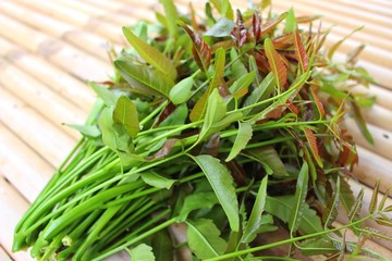 The rest is neem laid on a brown bamboo floor