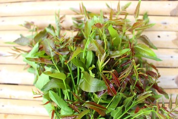 The rest is neem laid on a brown bamboo floor