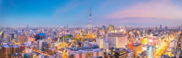 Photo sur Plexiglas Tokyo View of Tokyo skyline at sunset