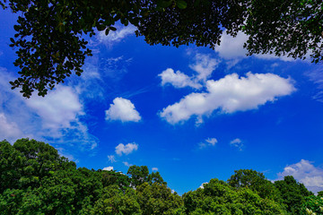Deep Blue Sky, Freedom Square of Shahbagh-Dhaka-Bangladesh.