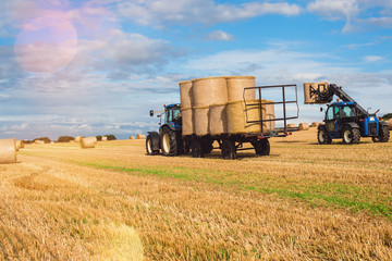 Obraz premium collection of straw bales at sunset