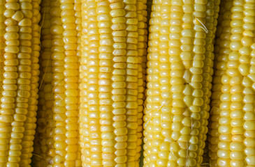 pumpkin corn on the table