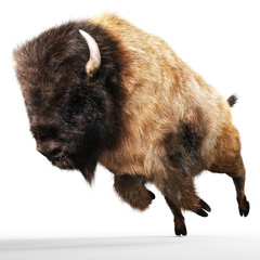Digital 3D Illustration of a Bison © crimson