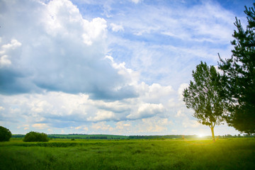 Fototapeta na wymiar Beautiful landscape. Clouds in the sky and a tree on the field. Amazing wallpaper with nature.