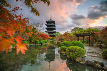 Wooden pagoda of Toji (Kyoo-Gokoku-ji) Temple with autumn color in Kyoto