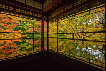 View of the autumn colors from the old temples in Kyoto
