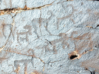 ancient cave paintings. petroglyphs in the wild.