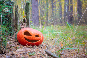 Pumpkin halloween symbol in the autumn forest. Next to an old rotten stump covered with moss