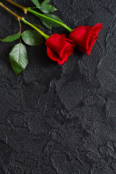 Two red roses on a dark, black stone background. Place for text