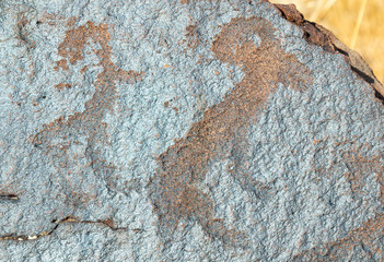 ancient cave paintings. petroglyphs in the wild.