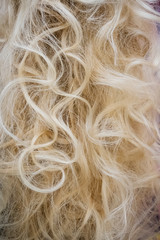 blond with perfect curls, long hair with curls