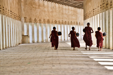 novice buddhist monks with red traditional robes holding red umbrellas walking in a white buddhist temple in myanmar