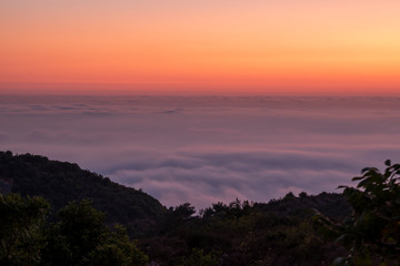 Beautiful colorful sunset over the mountain range and pine tree forest. Nature landscape. fogy sky with some orange reflections.