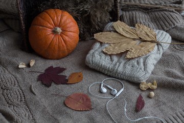 pumpkins on wooden background