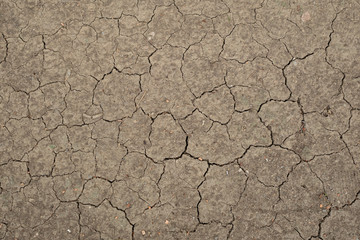 Dried cracked soil texture background