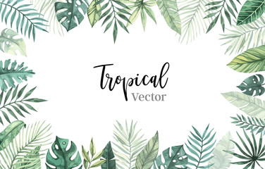 Watercolor vector illustration. Summer tropical frame with banana leaves, monstera and palm leaves. Perfect for wedding invitations, prints, postcards, posters