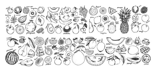 Hand drawn vector illustration - Collection of tropical and exotic Fruits. Healthy food elements. Apple, orange, papaya, coconut, mango, pear etc. Perfect for menu, packing, advertising, cooking book. - 284820865