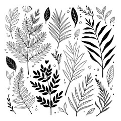Hand sketched vector vintage elements ( herbs, leaves, flowers, branches). Wild and free. Botanical illustrations. Perfect for invitations, greeting cards, quotes, blogs, Wedding Frames, posters