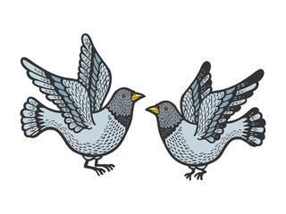 Dove pigeon birds tattoo color sketch engraving vector illustration. Scratch board style imitation. Hand drawn image.