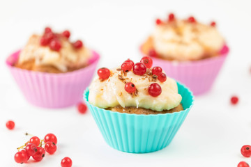 Summer berry desserts-maffins in colored silicone forms are decorated with cream, chocolate and fresh red currant berries. White Background