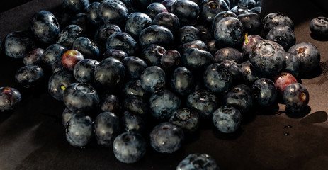 Blueberries in the black. Calgary, Alberta, Canada