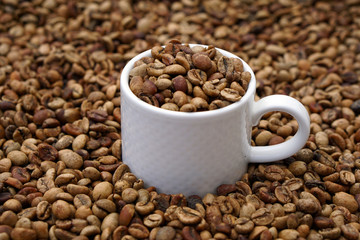medium roasted coffee beans with white  porcelain cup