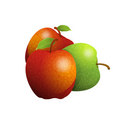 Vector cartoon element for design. Three delicious apples with stem and leaves, fruit design. Photo Realistic illustration of healthy vegetarian food. Perfect for grocery store, drinks and more