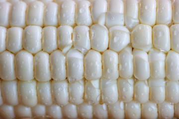 Corn ripen too well.