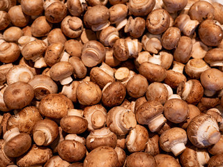 Bunch of white button mushrooms for sale in the market top view