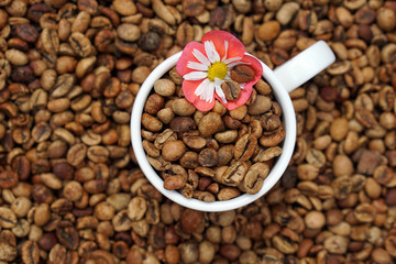 medium roasted coffee beans with white  porcelain cup