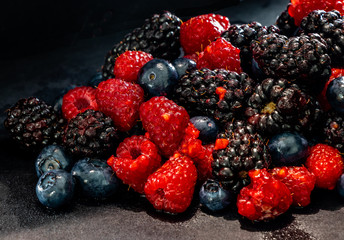 Mixed berries in the black. Calgary, Alberta, Canada