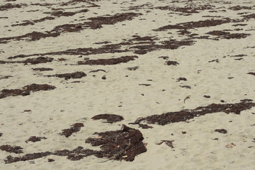 sand