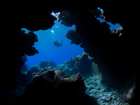 Marine life, Liuqiu island, Taiwan