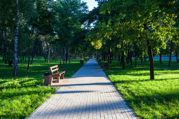 Green city park in sunny summer day