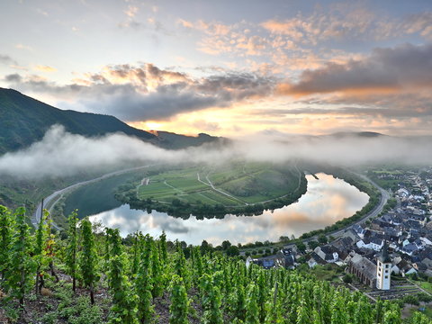 Moselschleife bei Bremm, Rheinland-Pfalz - Deutschland