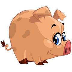 Pig