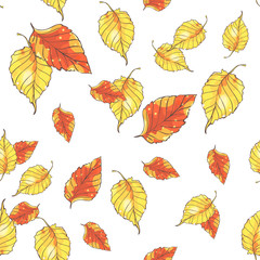 Seamless pattern with hand drawn autumn leaves on white background