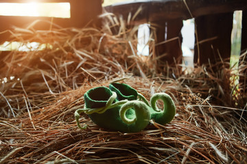 Colorful green shoes of a fairy-tale character or St. Patrick stand on the hayloft on the straw.