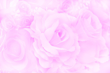 Blurred of Rose flowers blooming. in the pastel color style for background.