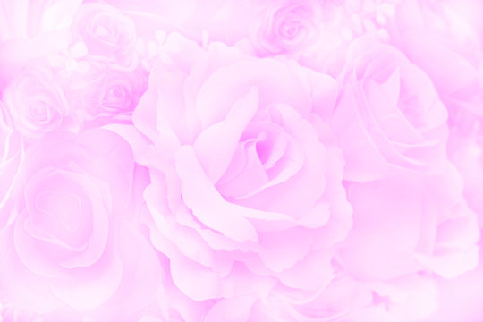 Blurred of Rose flowers blooming. in the pastel color style for background. © puwa2827