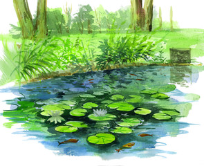 Water lily in pond. Watercolor illustration.